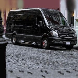 c55dd6_7e95e1751e144a02a9120418729ac021~mv2