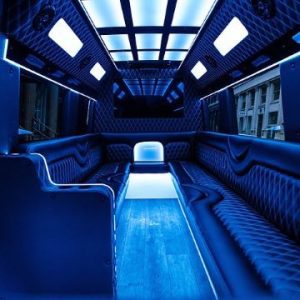 c55dd6_b72b47371f1a4f9aa53a7b19c98df8ad~mv2